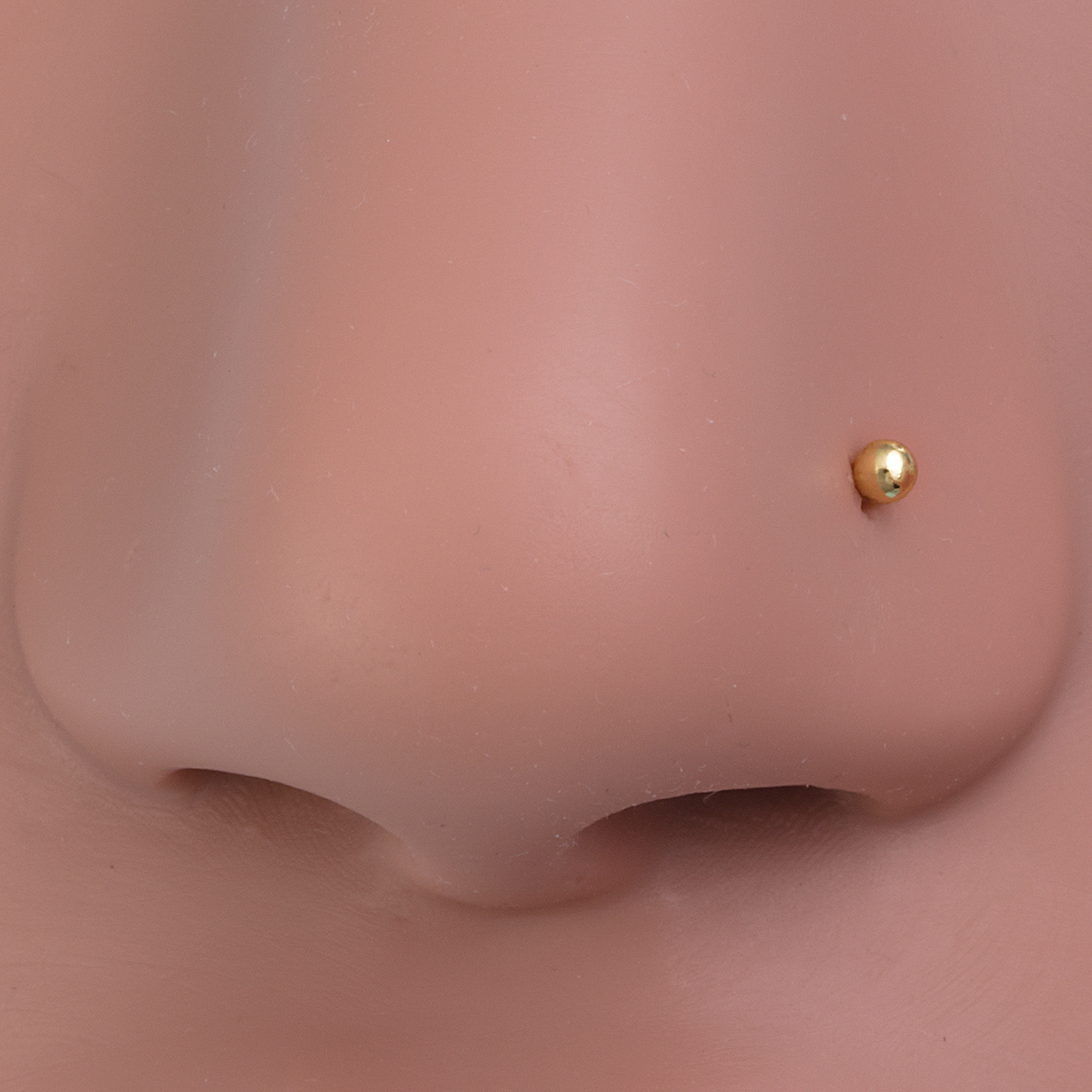 10pcs Nose Stud Rings Cartilag - đánh giá và giá Nostril Screw Pin