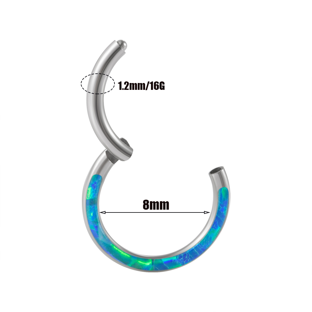 1PC Surgical Steel Opal Hinged - đánh giá và giá Body Piercing Quality Jewelry