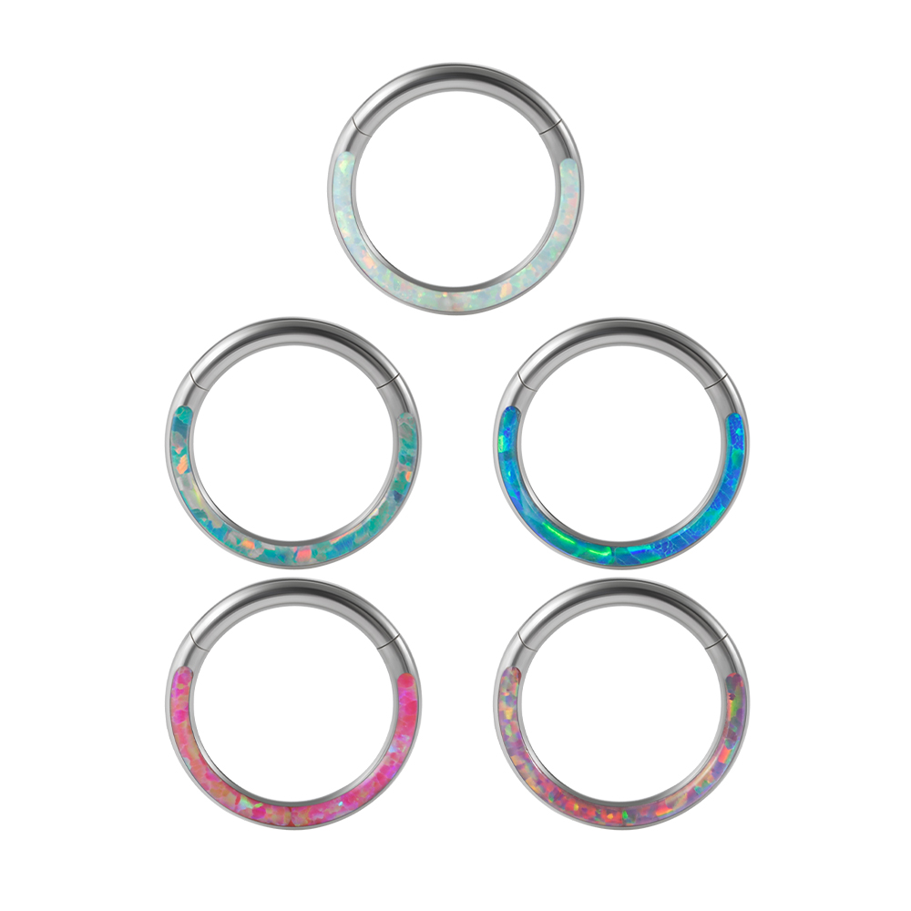 1PC Surgical Steel Opal Hinged - đánh giá và giá Body Piercing Quality Jewelry