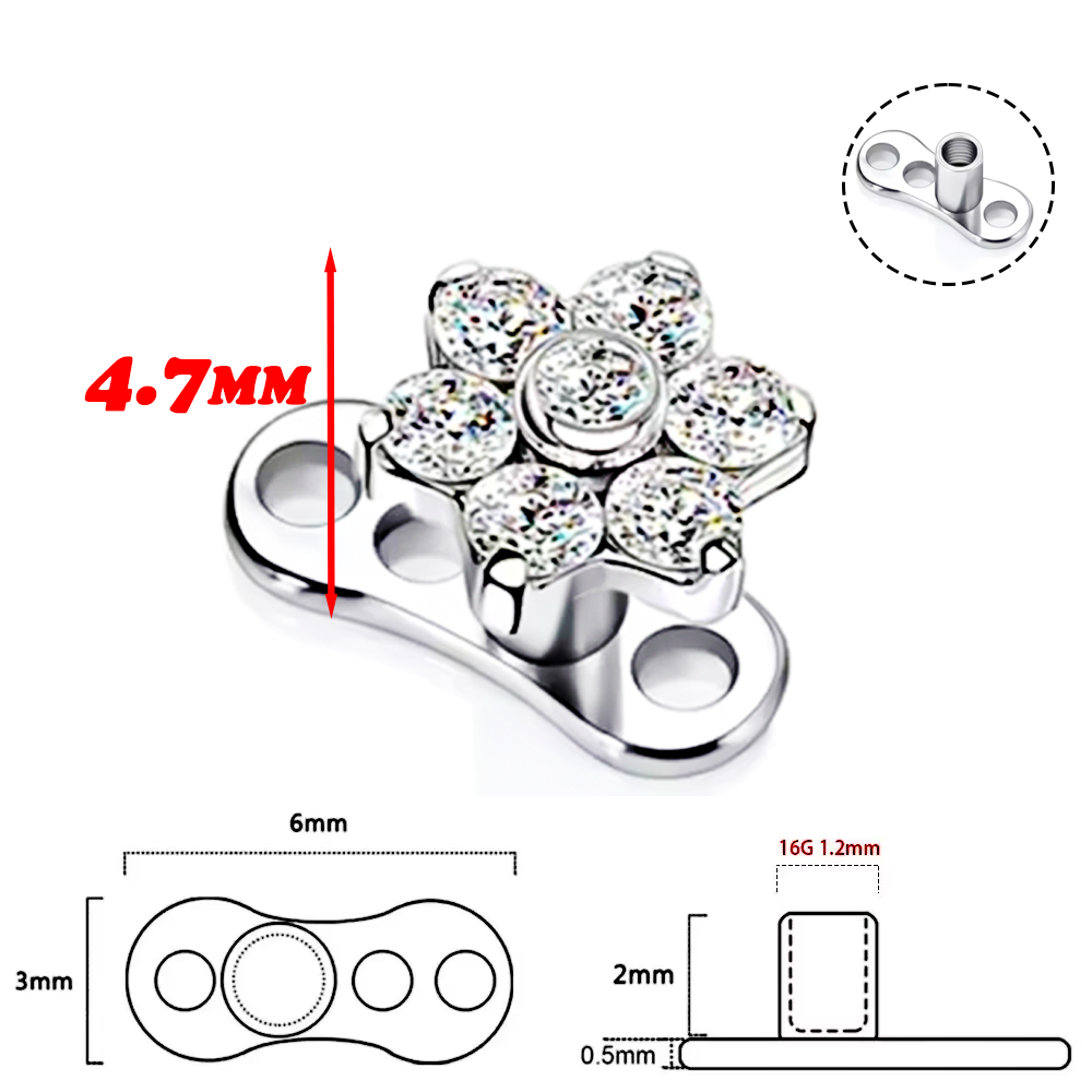 F136 Titanium Alloy High-Quali - đánh giá và giá Body Piercing Quality Jewelry