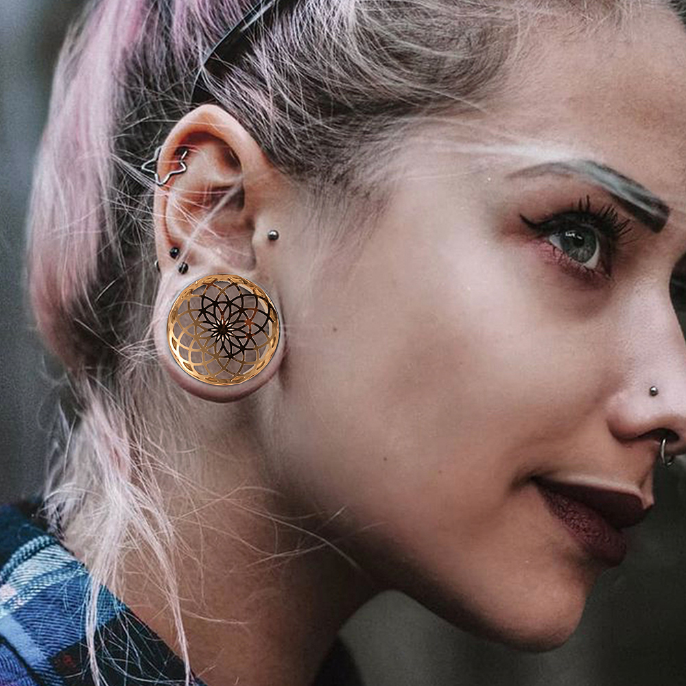 Vankula 2PCS 316 Stainless Ste - đánh giá và giá Body Jewelry Gauges