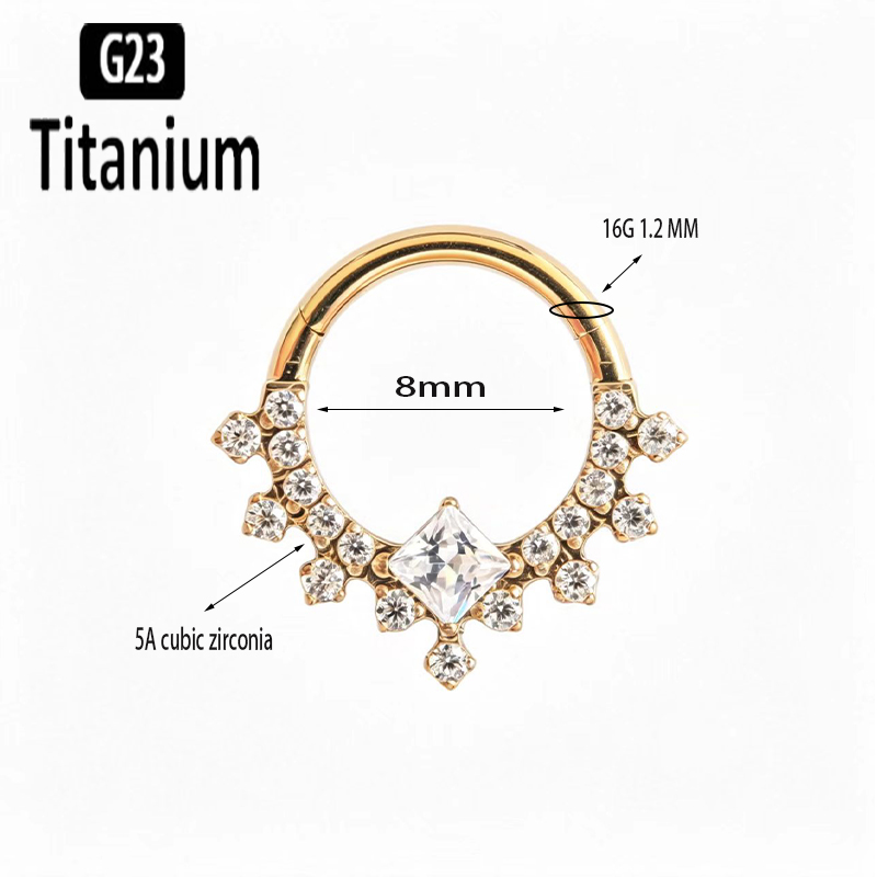 G23 Titanium High Quality Plan - đánh giá và giá Body Piercing Quality Jewelry
