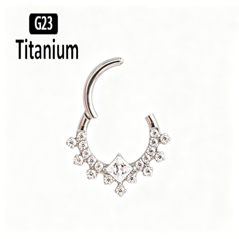 G23 Titanium High Quality Plan - đánh giá và giá Body Piercing Quality Jewelry